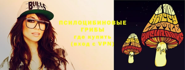 гидропоника Медногорск