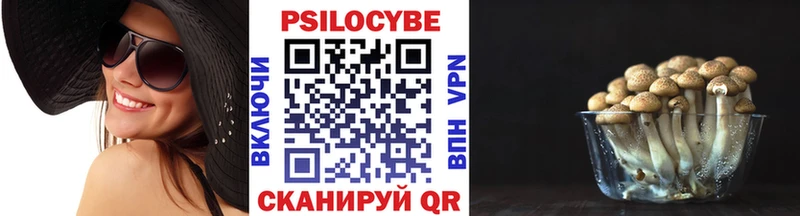 Галлюциногенные грибы мицелий  Белогорск 