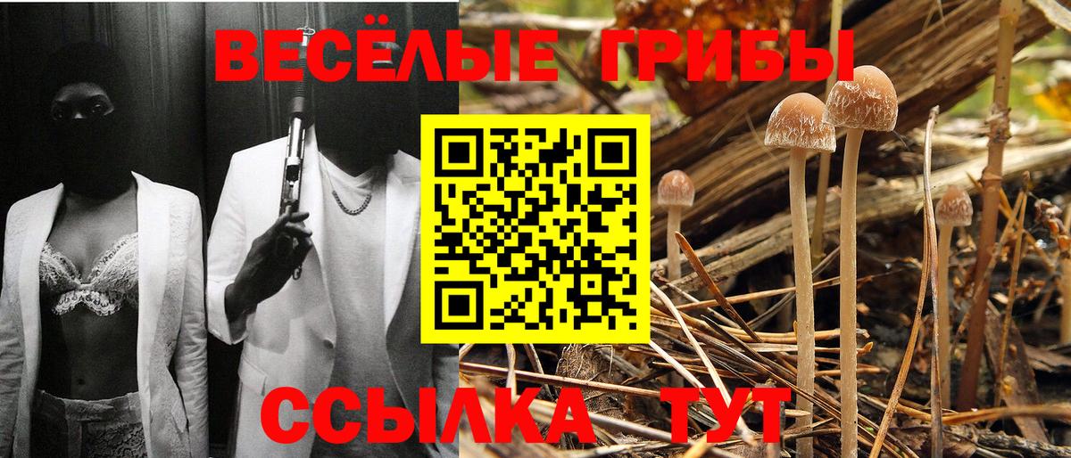 где продают наркотики  Белогорск  Псилоцибиновые грибы MAGIC MUSHROOMS 